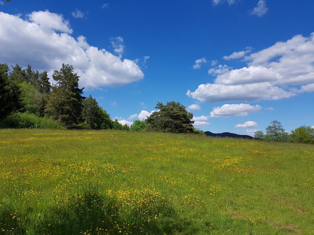 Hoellenbergblick Spirkelbach Exteriér fotografie